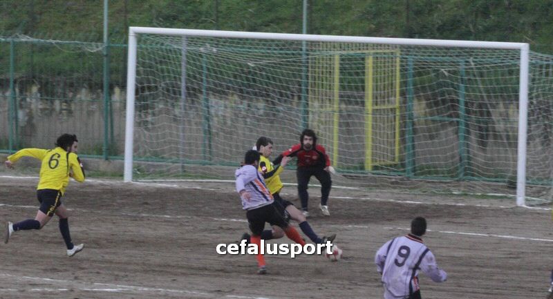 120310 stefanese 205y_tn.jpg
